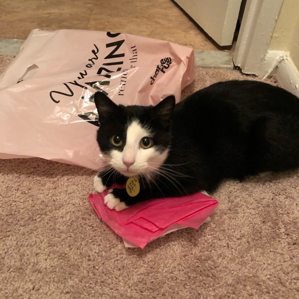 Meet your Posher, Brianna